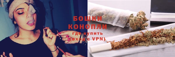 PSILOCYBIN Сосновый Бор