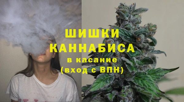 PSILOCYBIN Сосновый Бор