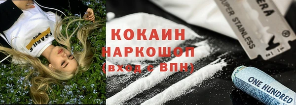 PSILOCYBIN Сосновый Бор