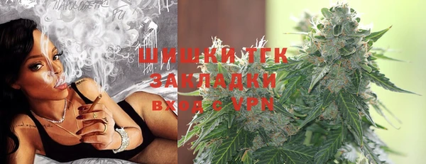 PSILOCYBIN Сосновый Бор
