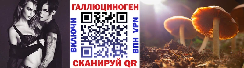 что такое наркотик  Шахунья  Псилоцибиновые грибы прущие грибы 