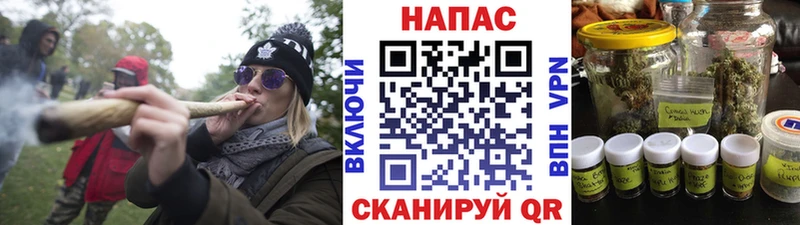 Конопля AK-47  как найти   Шахунья 